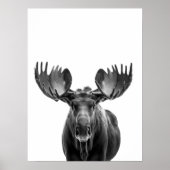 Moose Modern Portret zwart wit Poster (Voorkant)