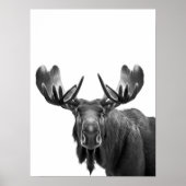Moose Modern Portret zwart wit Poster (Voorkant)