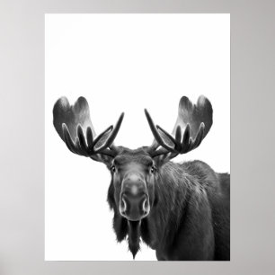 Moose Modern Portret zwart wit Poster