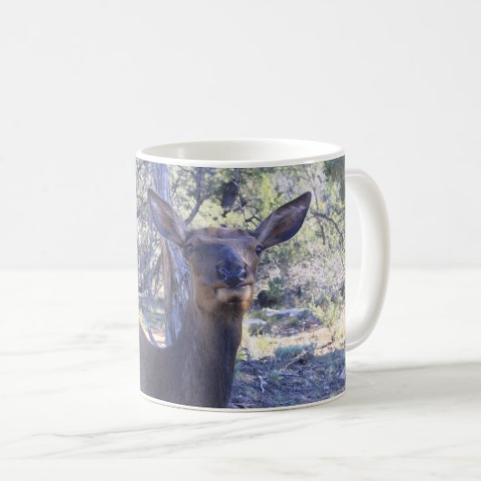 Moose Mok (Voorkant rechts)