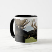 Moose Mok (Voorkant links)