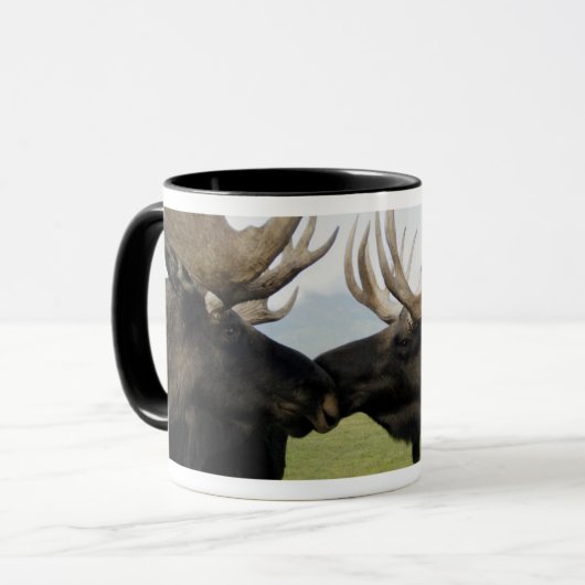 Moose Mok (Voorkant links)