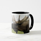 Moose Mok (Voorkant rechts)