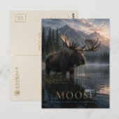 Moose Mountain Lake DIEREN Briefkaart (Voorkant / Achterkant)