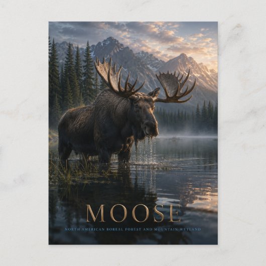 Moose Mountain Lake DIEREN Briefkaart (Voorkant)