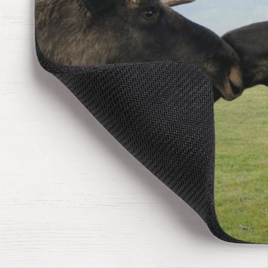 Moose Muismat (Hoek)