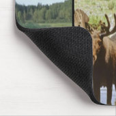 Moose Muismat (Hoek)