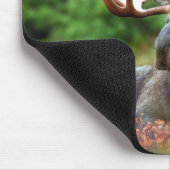 Moose Muismat (Hoek)