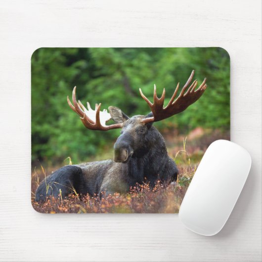 Moose Muismat (Met muis)