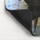 Moose Muismat (Hoek)