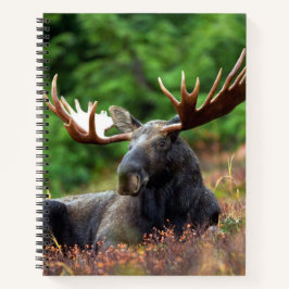 Moose Notitieboek