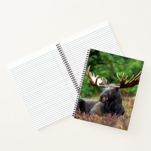 Moose Notitieboek (Binnen)