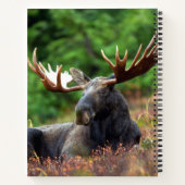 Moose Notitieboek (Achterkant)