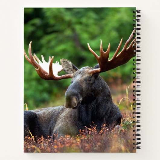 Moose Notitieboek (Achterkant)