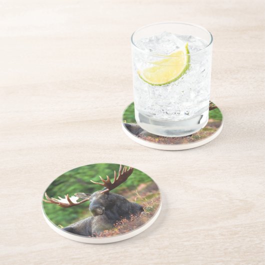 Moose Onderzetter (Zijkant)