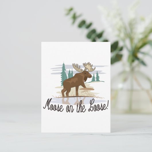 Moose op de Loose. Briefkaart (Staand voorkant)