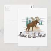 Moose op de Loose. Briefkaart (Voorkant / Achterkant)