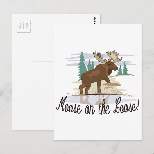Moose op de Loose. Briefkaart (Voorkant / Achterkant)