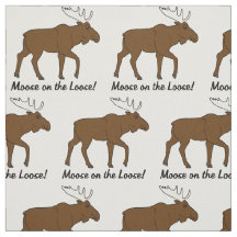 Moose op de Loose.