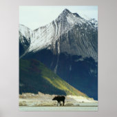 Moose op Medicine Lake Poster (Voorkant)