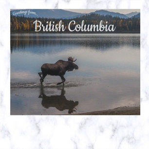 Moose op Unna Lake British Columbia Canada Briefkaart