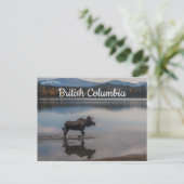 Moose op Unna Lake British Columbia Canada Briefkaart (Staand voorkant)