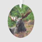 Moose Ornament (voorkant)