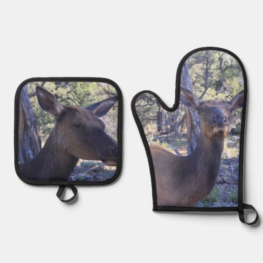 Moose Ovenwant & Pannenlap Set (Voorkant)