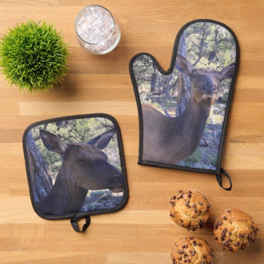 Moose Ovenwant & Pannenlap Set (Top down)