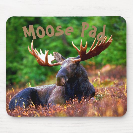Moose Pad Muismat (Voorkant)