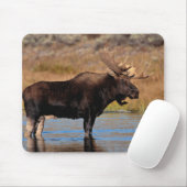 Moose Pad Muismat (Met muis)