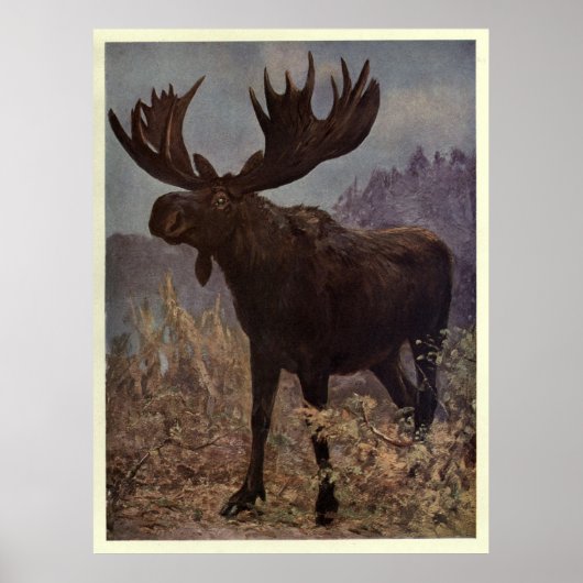 Moose Painting (1909) Poster (Voorkant)