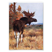Moose Painting Foto Afdruk (Voorkant)