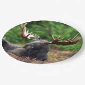 Moose Papieren Bordje (Gekanteld)