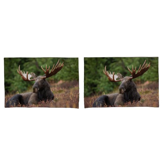Moose Photo Woodland, Forest, Natuur Kussensloop (Voorkant-Set)