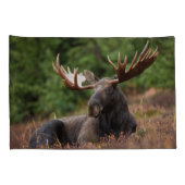 Moose Photo Woodland, Forest, Natuur Kussensloop (Achterkant-Rechts)