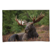 Moose Photo Woodland, Forest, Natuur Kussensloop (Voorkant-Rechts)