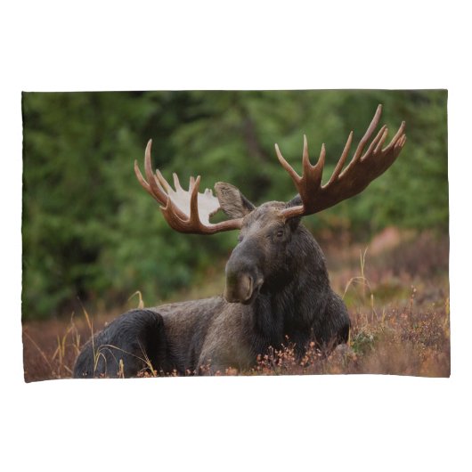 Moose Photo Woodland, Forest, Natuur Kussensloop (Voorkant-Rechts)