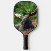 Moose Pickleball Paddle (Voorkant)