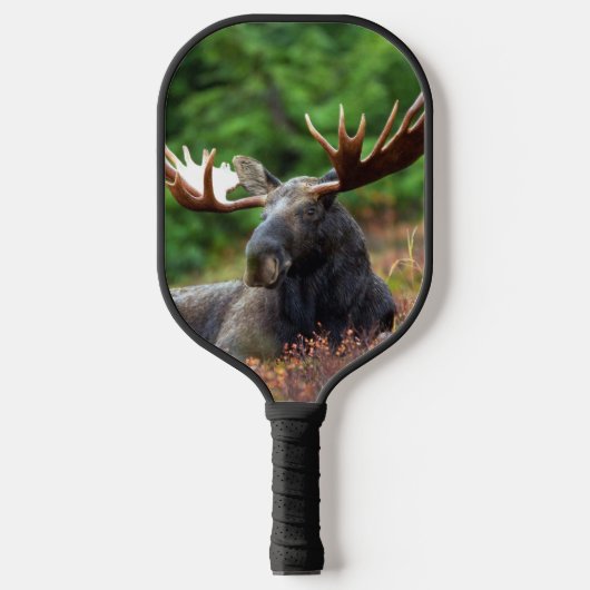Moose Pickleball Paddle (Voorkant)