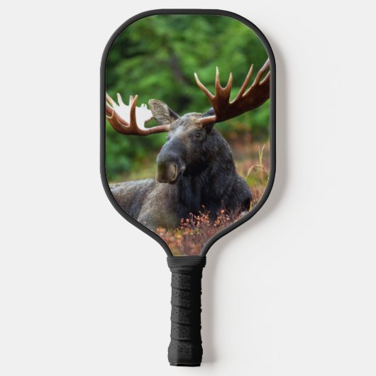 Moose Pickleball Paddle (Achterkant)
