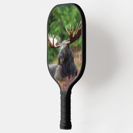 Moose Pickleball Paddle (Links)