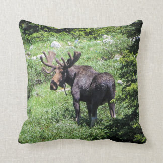 Moose Pillow Kussen