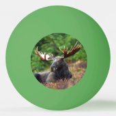 Moose Pingpongbal (Achterkant)