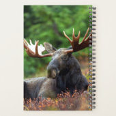 Moose Planner (Achterkant)