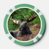 Moose Poker Chips (Achterkant)