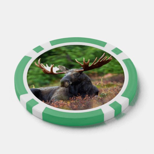 Moose Poker Chips (Enkel)