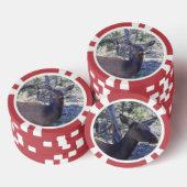 Moose Poker Chips (Opstapeling)