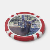 Moose Poker Chips (Enkel)