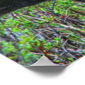 Moose Portret Poster (Hoek)